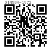 DIN  580 - 1972 吊環螺釘