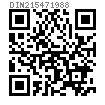 DIN  21547 - 1988 礦井支護.帶吊環的半圓頭螺釘