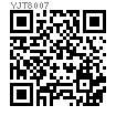 YJT  8007 (YJT 1045) 沉頭雙鼓型抽芯鉚釘