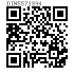 DIN  557 - 1994 方螺母 C级