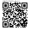 UNI  1707 (d h1) 圓柱銷（d h11)