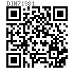 DIN  7 - 1981 圓柱銷