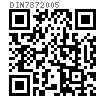 DIN  787 - 2005 T型螺栓 (d ≥ M12x14)