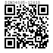 DIN  34805-1 - 2018 梅花槽平圆头螺钉
