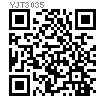 YJT  3035 带肩螺母