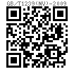 GB /T 1239 (N V) - 2009 扭轉彈簧 N V 型