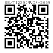 GB /T 1239 (N VI) - 2009 扭轉彈簧 N VI 型