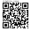 DIN  529 - 1986 地腳螺栓 - 杆部型式