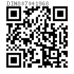 DIN  80704 - 1968 米制弓形吊环螺母