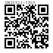 UNI  6421 - 1969 全螺紋六角頭螺栓