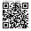 DIN  8243 - 1969 机械用开槽圆柱头螺钉