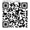 UNI  5731 - 1965 带方螺母的方颈圆头螺栓 米制粗牙 C级