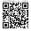 GOST  7805 (-2) - 1970 六角头螺栓 杆部带孔 2型
