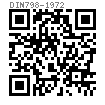DIN  798 - 1972 与地脚螺栓配套用地脚螺母
