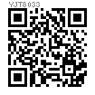 YJT  8033 拉丝型圆头抽芯铆钉 - 外锁