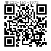 NF E 27-163 - 1972 内六角圓柱端緊定螺釘