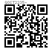 GOST  2235 - 1977 高强度螺栓 B级