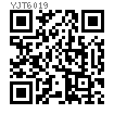 YJT  6019 日制斜方墊圈