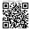 GOST  5918 - 1973 六角開槽螺母 B級