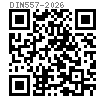 DIN  557 - 2026 方螺母 C级