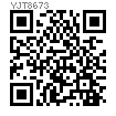 YJT  8073 双沉头抽芯铆钉 开口型