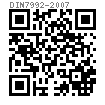 DIN  7992 - 1970 大头T形头螺栓