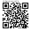 DIN  1816 - 1971 带定位销孔的圆螺母, 细牙螺纹