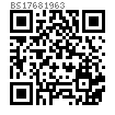 BS  1768 - 1963 美制六角開槽厚螺母