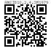 ANSI B 18.2.4.3M - 1979 (R2017) 米制六角開槽螺母 (ASTM A563M / F467M)