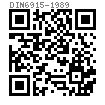 DIN  6915 - 1989 鋼結構栓連接用高強度大六角螺母