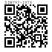 DIN  797 - 1970 帶孔錐端雙頭栓（專用地腳螺栓）