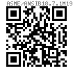 ASME B 18.7.1M - 2007 (R2012) 米制大扁頭半空心鉚釘