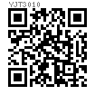 YJT  3010 六角大平闆大法蘭螺母（大邊法蘭）