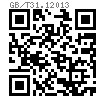 GB /T 31.1 - 2013 六角头螺杆带孔螺栓