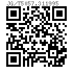 JG /T 5057.31 - 1995 建筑机械与设备 高强度平垫圈