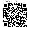 BS  1981 - 1991 開槽六角頭螺釘 [Table 16]