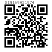 DIN  16903 (P) - 1974 六角封閉型中間帶槽鑲入螺母  P型