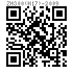 ZH  300 (H17) - 2009 高压管用螺母 (H17)