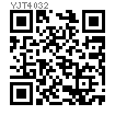 YJT  4032 (原YJT 21880(10)) 彈簧柱塞 - 内六角型