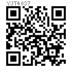 YJT  4037 (原YJT 21880(15)) 尼龍頭緊定螺絲 - 内六角型