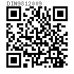 DIN  981 (HM) - 2009 用于MS...型防松圈的HM...型滚动轴承用锁紧螺母（圆螺母）