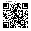 DIN  34800 - 2016 梅花頭小法蘭螺栓