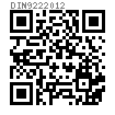 DIN  922 - 2012 开槽小盘头圆柱端螺钉