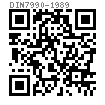 DIN  7990 - 1989 鋼結(jié)構(gòu)用帶六角螺母的六角頭螺栓