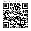GB /T 120.2 - 2000 淬硬钢和马氏体不锈钢内螺纹圆柱销