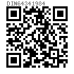 DIN  6434 - 1984 铆钉用具，圆锥端带孔八角铆钉